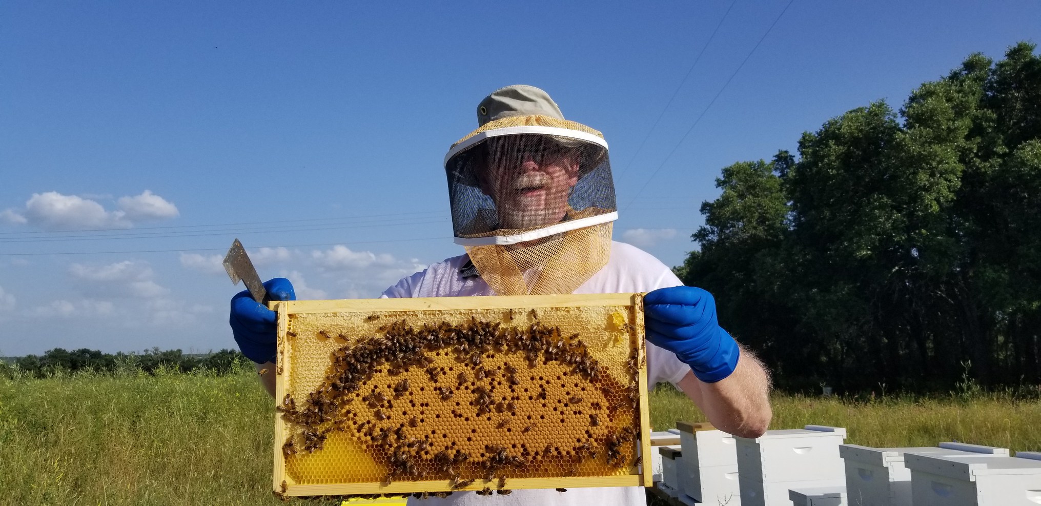 beekeeper Johnny