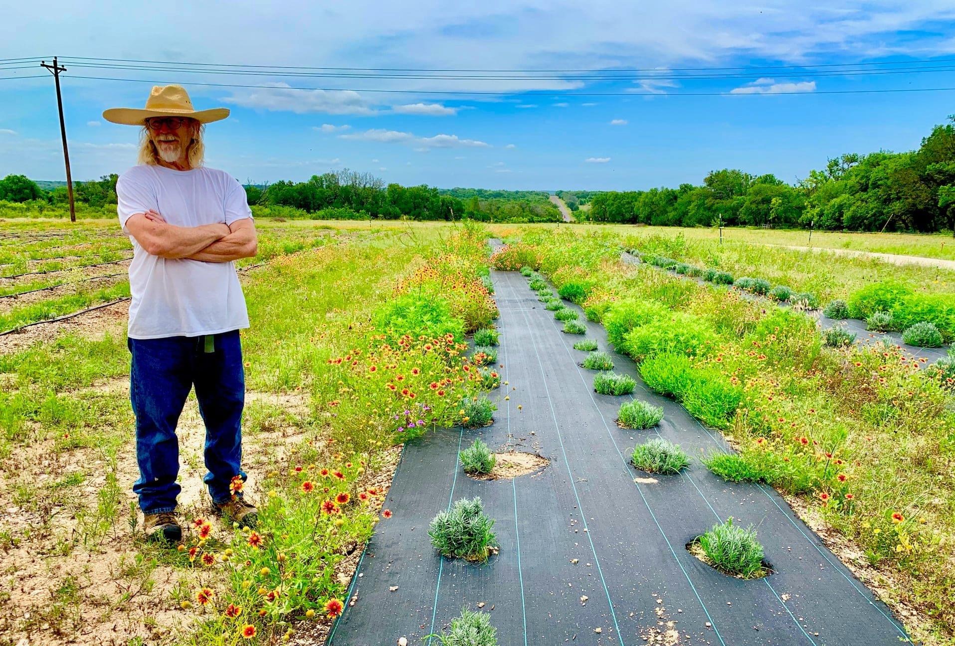 johnny in the field of flowers